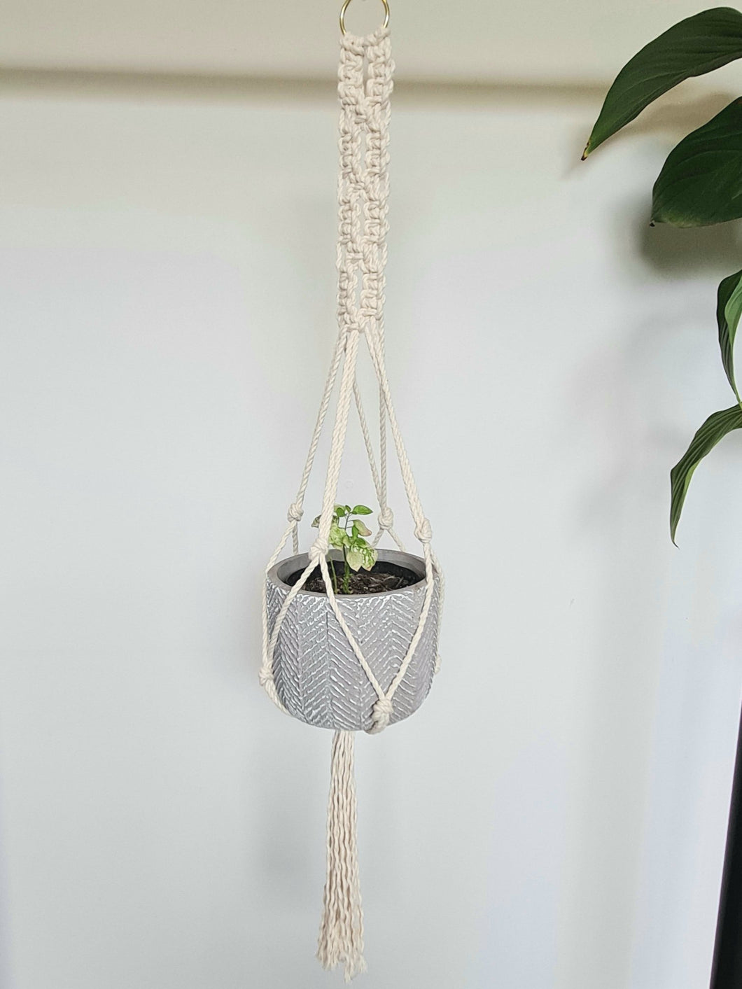 Knots plant hanger